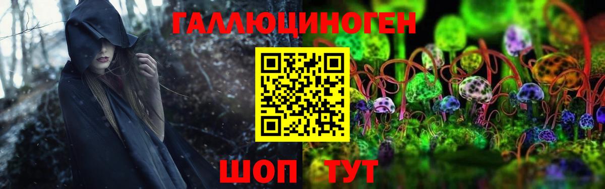 Апрелевка  Псилоцибиновые грибы Psilocybine cubensis  Вход с VPN 